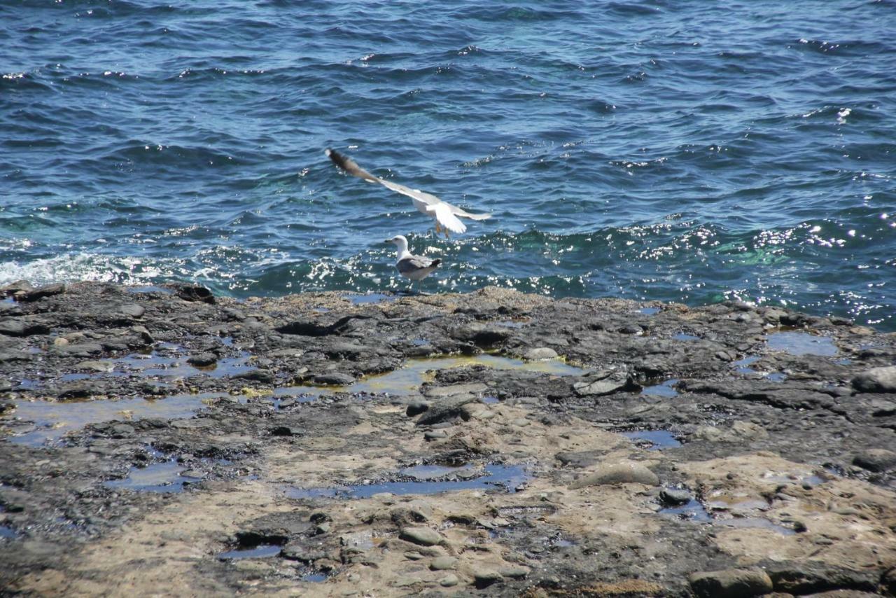 Seagull Estudios Pozo Izquierdo Esterno foto